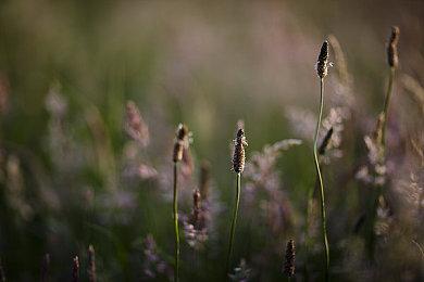 电影《闪电侠》“神速闪现”新预告 中国独家海报发布